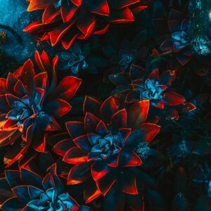 freelance-artist-floral-4 freelance artist floral 4
